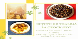 Rețetă negresă cu iaurt, miere și nuci la Slow Cooker 5.0 L Digital DuraCeramic Sauté Crock-Pot by Prințesa Urbană