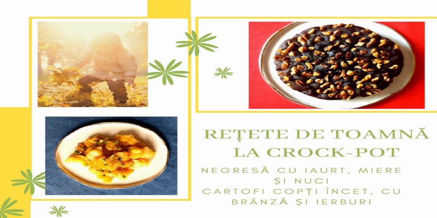Rețetă negresă cu iaurt, miere și nuci la Slow Cooker 5.0 L Digital DuraCeram...